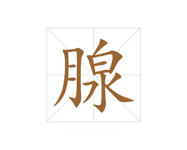 腺