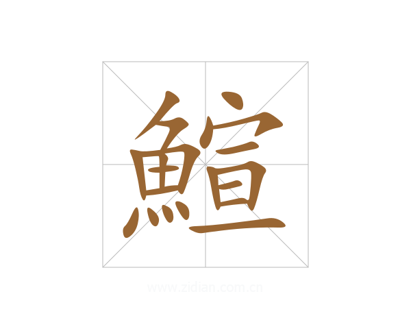 鰚