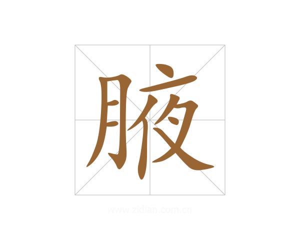 腋