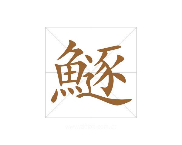 鱁